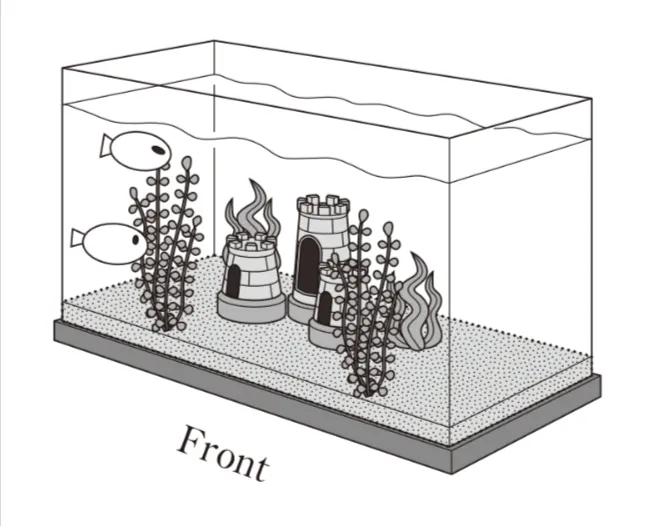 解答選択肢の画像