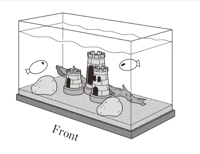 解答選択肢の画像
