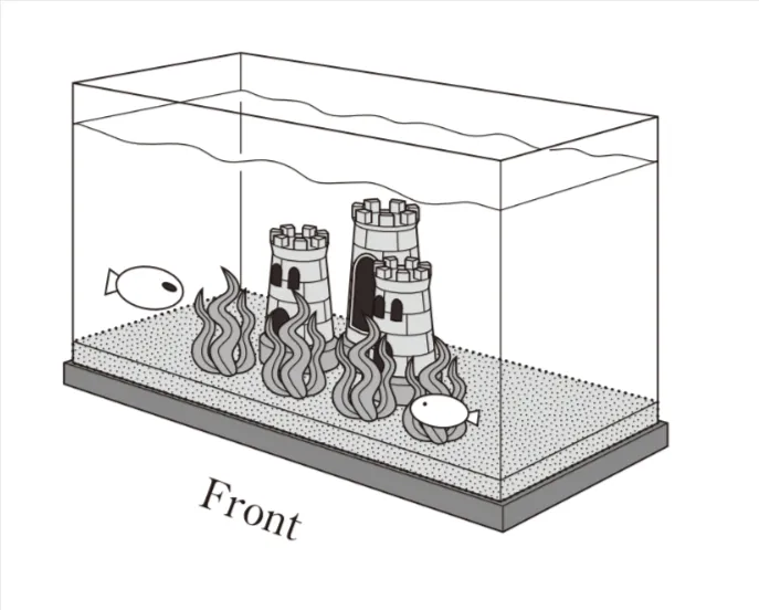 解答選択肢の画像
