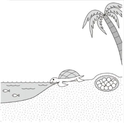 解答選択肢の画像