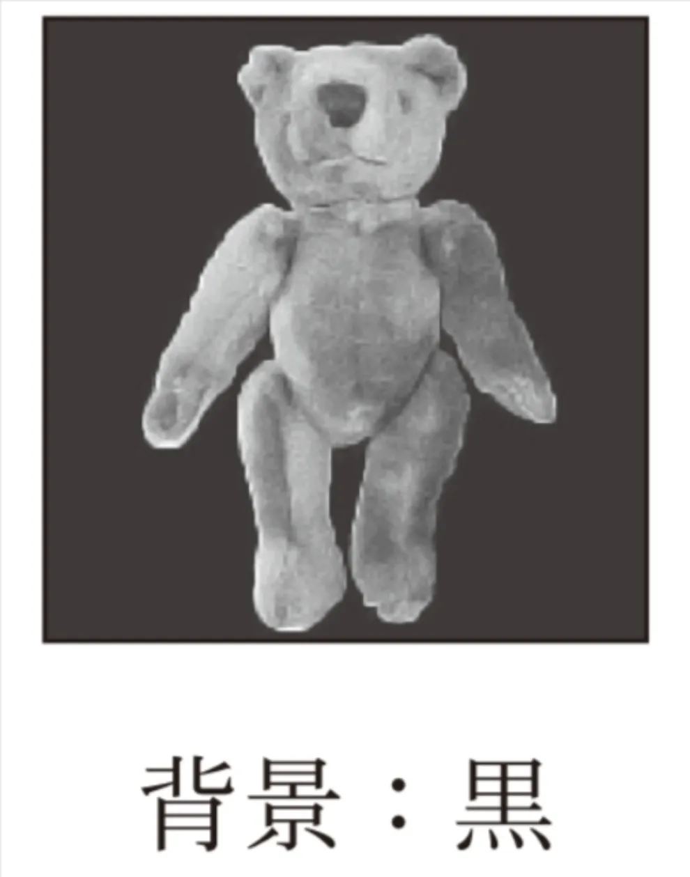 解答選択肢の画像