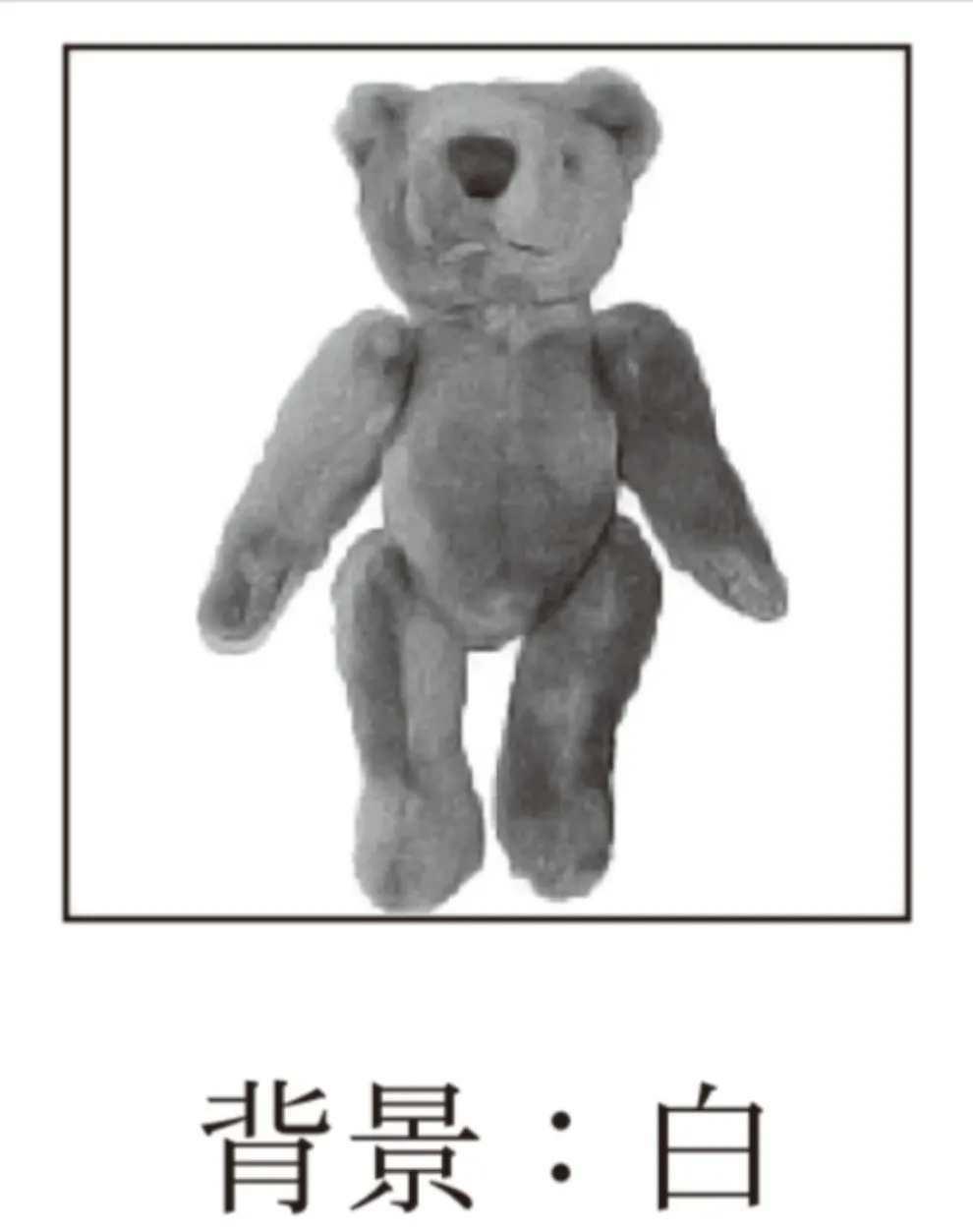 解答選択肢の画像