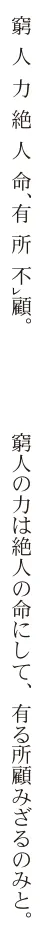 解答選択肢の画像