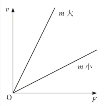 解答選択肢の画像
