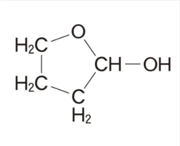 解答選択肢の画像