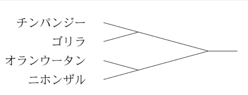 解答選択肢の画像