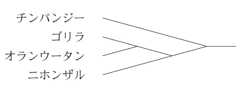解答選択肢の画像
