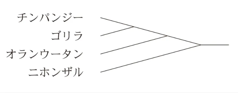 解答選択肢の画像