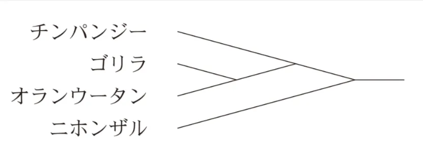 解答選択肢の画像
