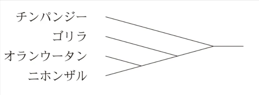 解答選択肢の画像