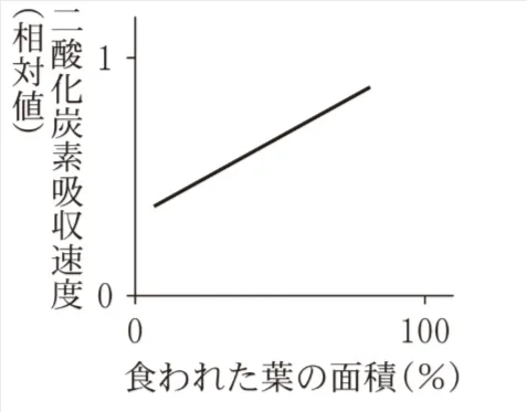 解答選択肢の画像