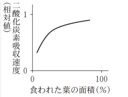 解答選択肢の画像