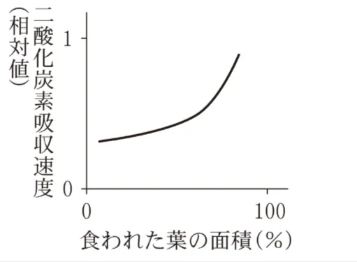 解答選択肢の画像