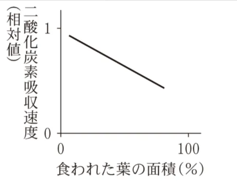 解答選択肢の画像