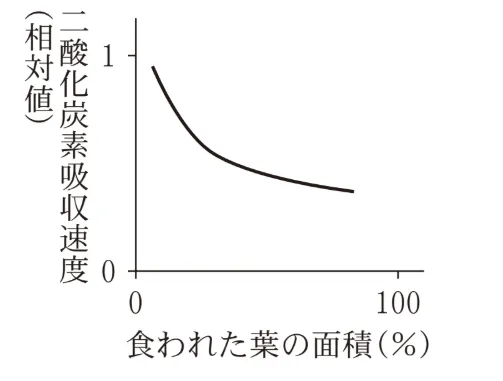 解答選択肢の画像