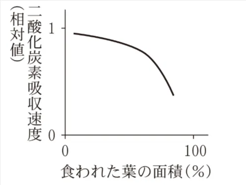 解答選択肢の画像