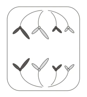 解答選択肢の画像