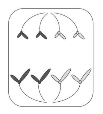 解答選択肢の画像