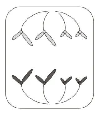 解答選択肢の画像