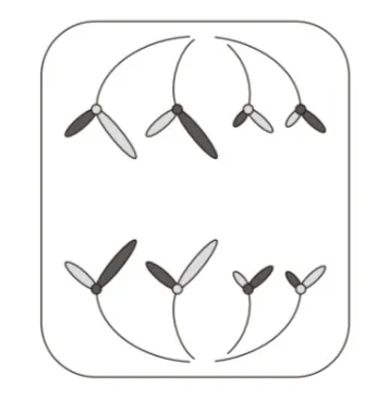 解答選択肢の画像