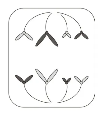 解答選択肢の画像