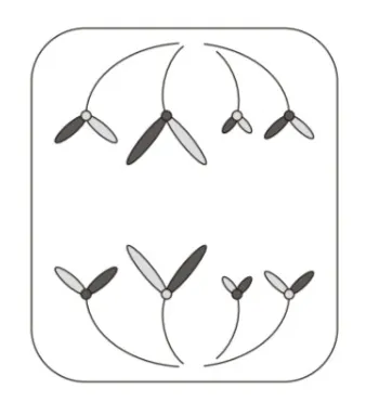 解答選択肢の画像