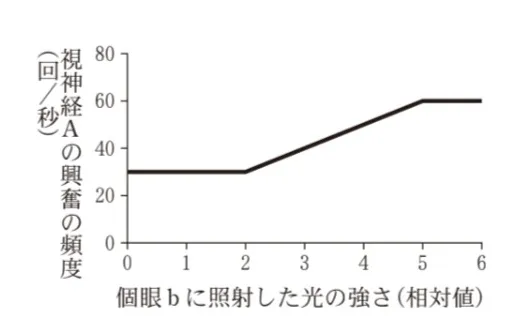 解答選択肢の画像
