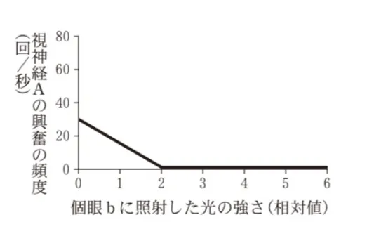 解答選択肢の画像