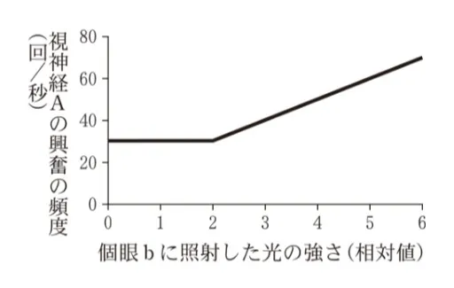 解答選択肢の画像