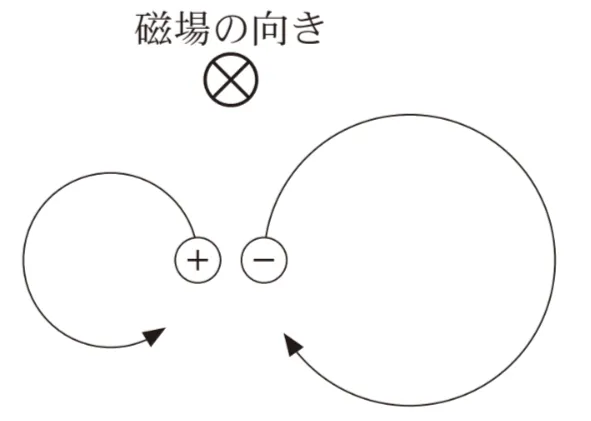 解答選択肢の画像