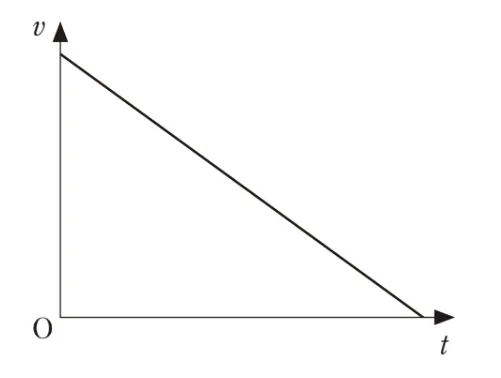 解答選択肢の画像