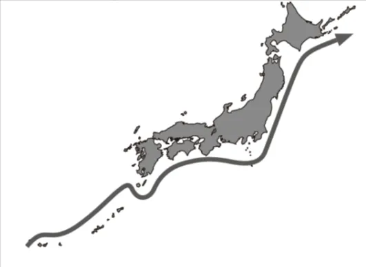 解答選択肢の画像