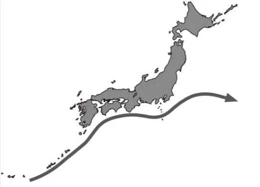 解答選択肢の画像