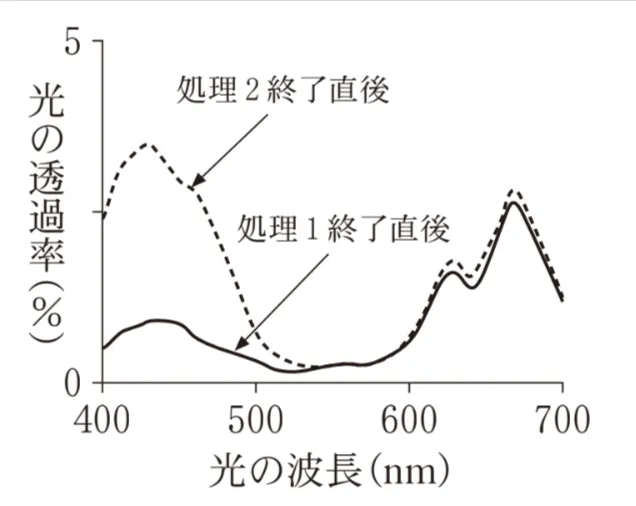 解答選択肢の画像