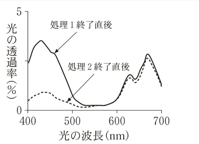 解答選択肢の画像