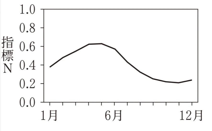 解答選択肢の画像