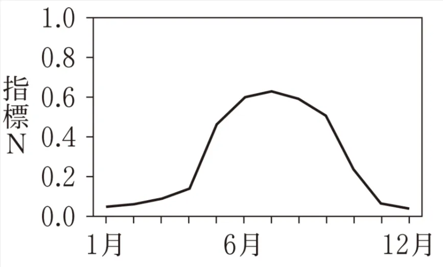 解答選択肢の画像