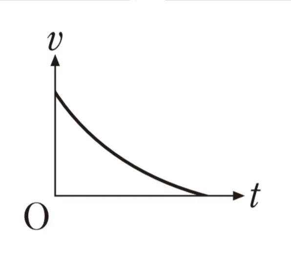 解答選択肢の画像