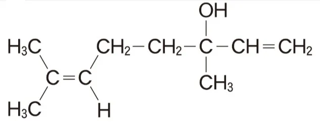 解答選択肢の画像
