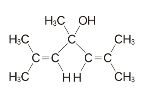 解答選択肢の画像