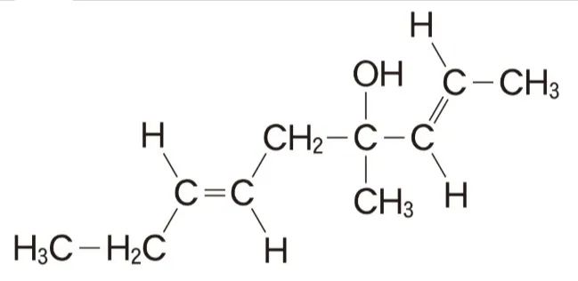解答選択肢の画像