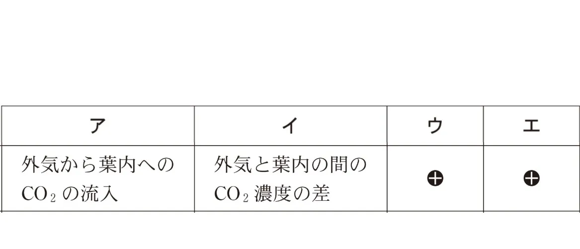 解答選択肢の画像