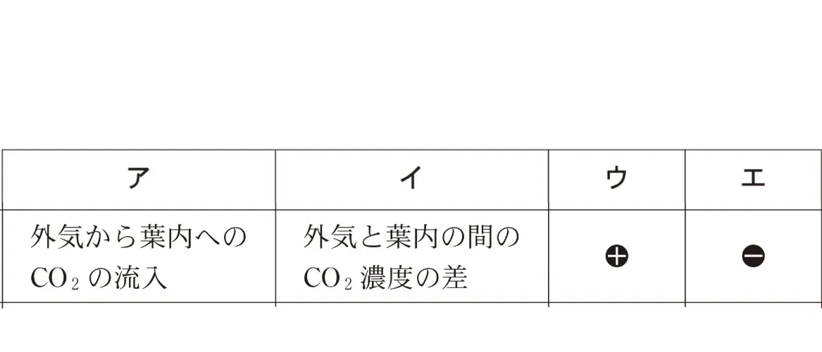 解答選択肢の画像