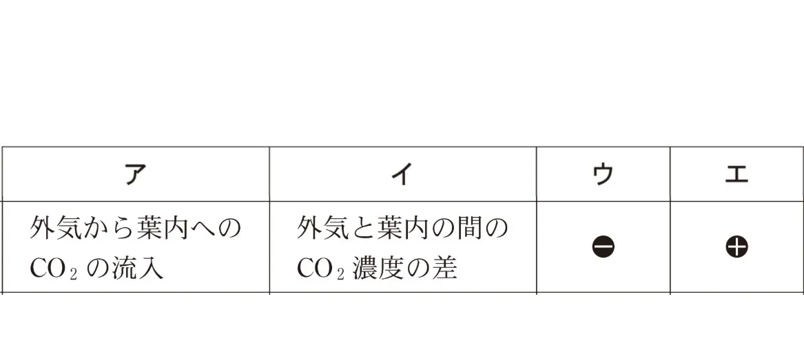 解答選択肢の画像