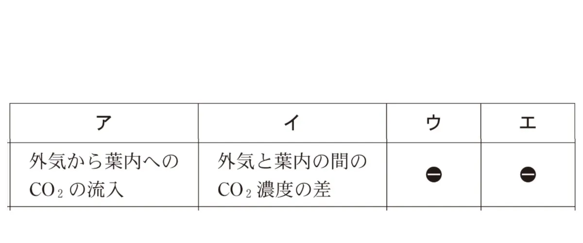 解答選択肢の画像
