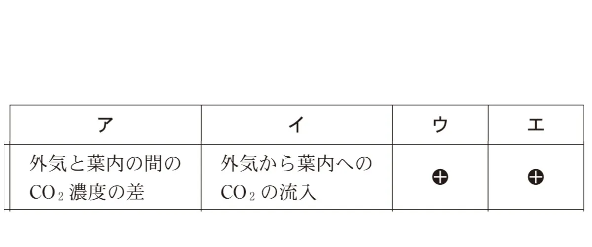 解答選択肢の画像