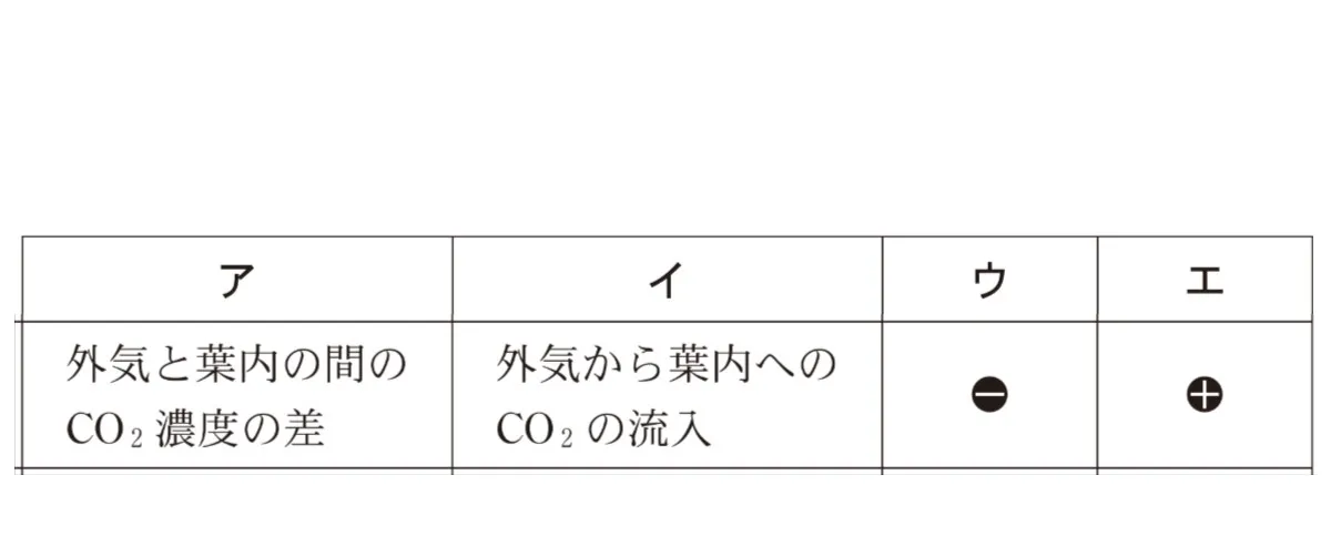解答選択肢の画像