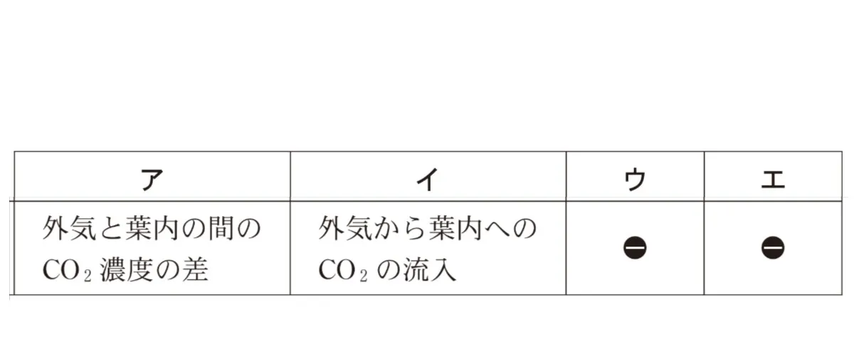 解答選択肢の画像