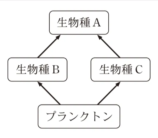 解答選択肢の画像