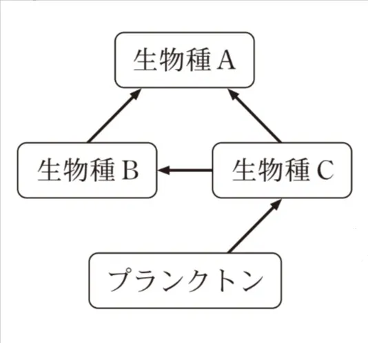 解答選択肢の画像